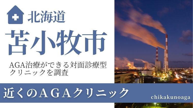 北海道の苫小牧市